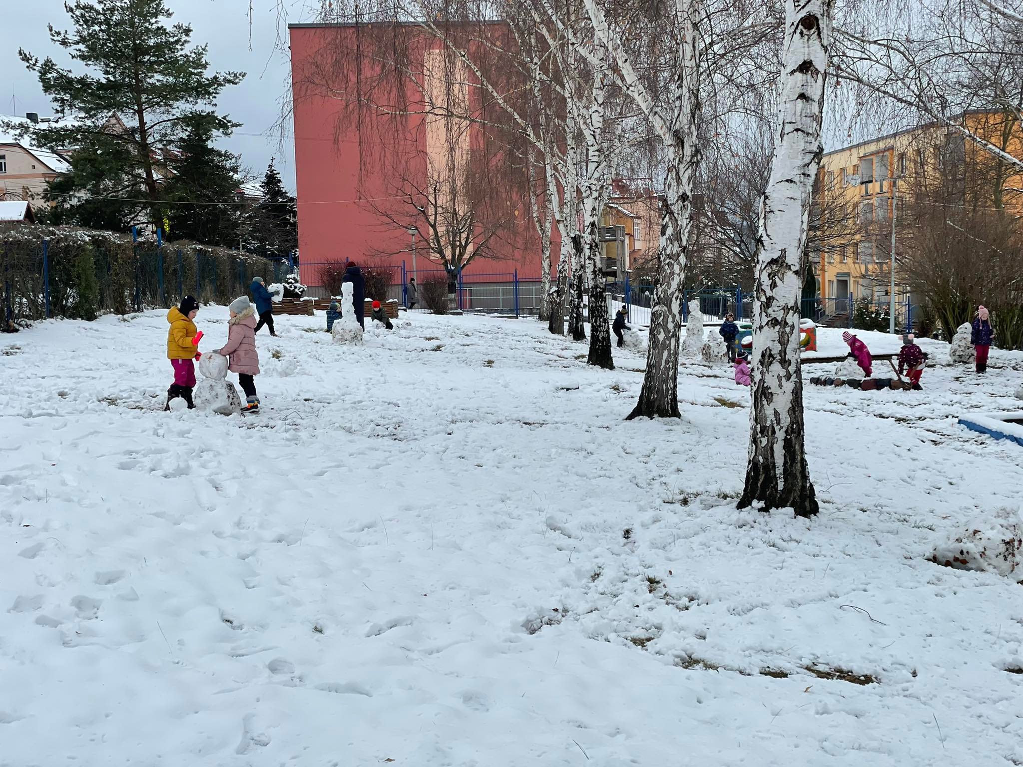 Berušky a Koťátka na sněhu